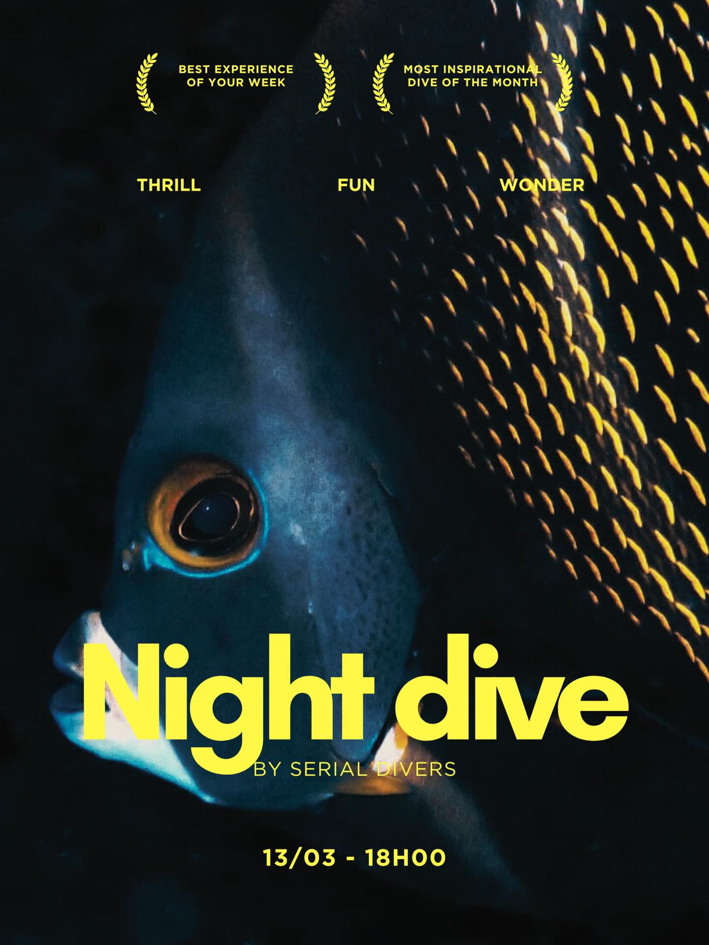 Lors d’une plongée de nuit c’est une expérience complètement différente qui s’offre à vous. La possibilité de voir des espèces qui sortent de leurs cachette et d’autres qui se mettent en mode sommeil. Sortez de votre zone de confort et venez explorez le monde sous-marin dans le noir. #nightdive