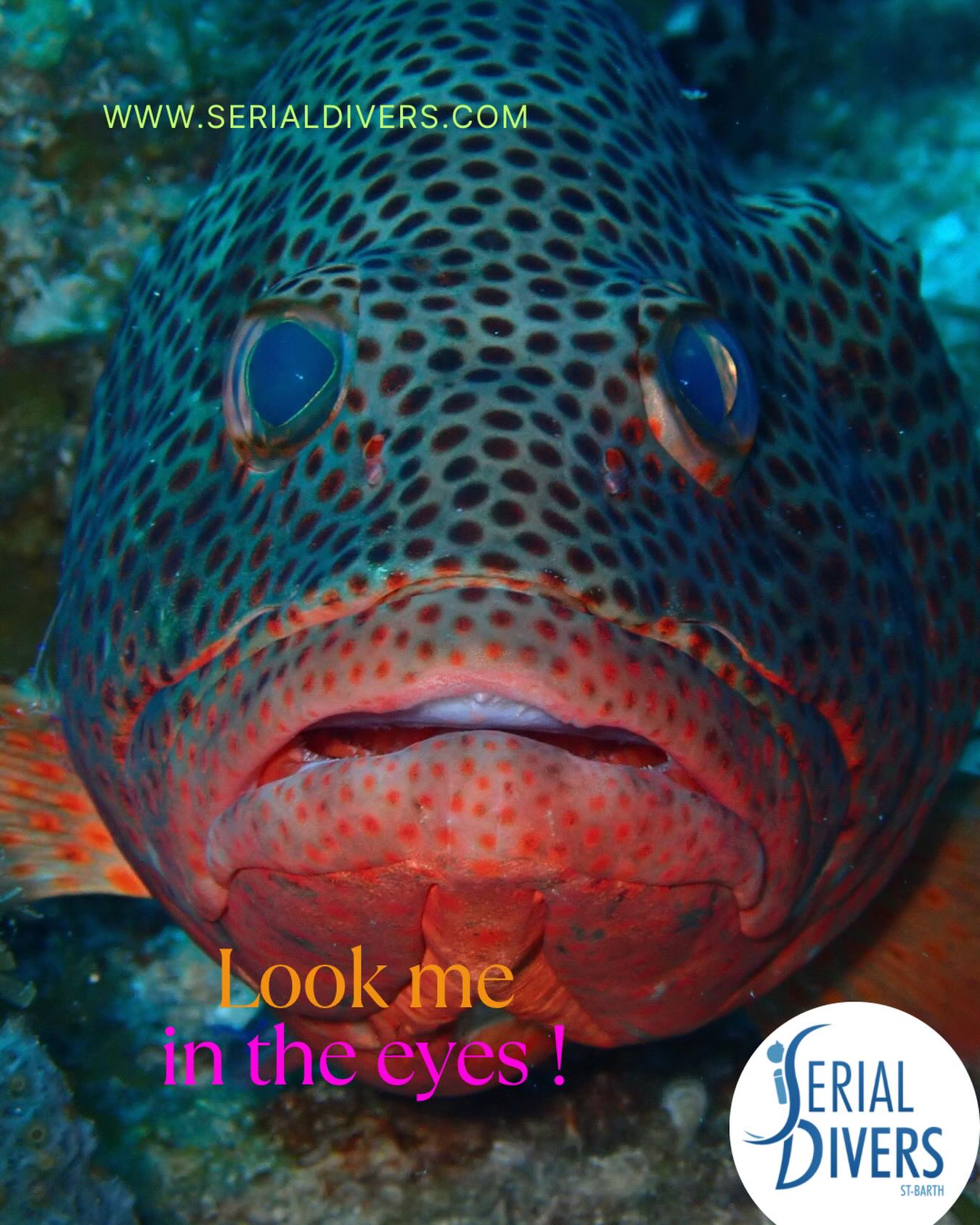 Admirez les poissons au plus près. #fishlovers
