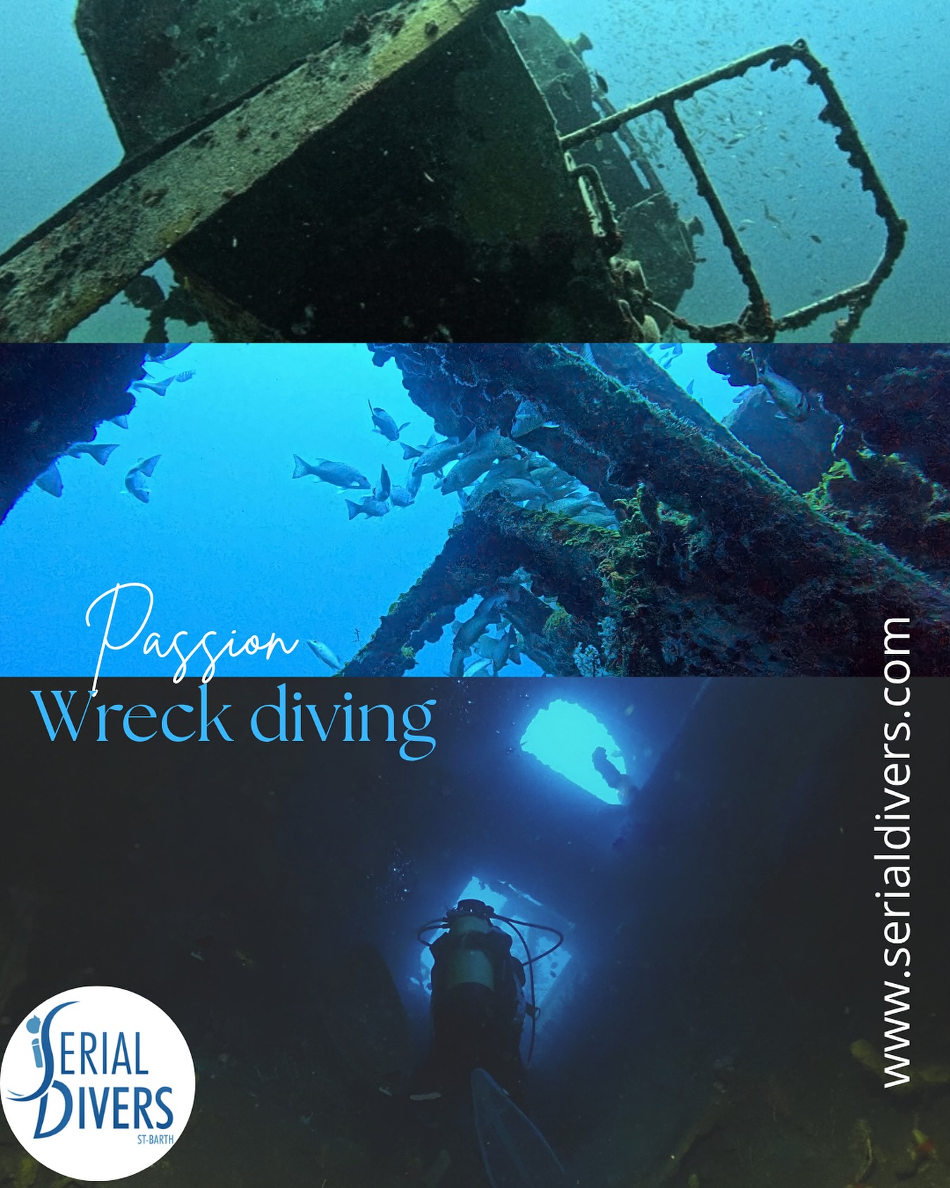 Le Marignan, le Non stop, le Dakar, le Kayali, le Smoothie… Autant d’épaves à découvrir avec Serial Divers.