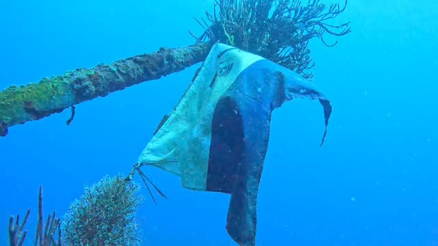 Part of a school, part of a federation… #FFESSM#serialdivers