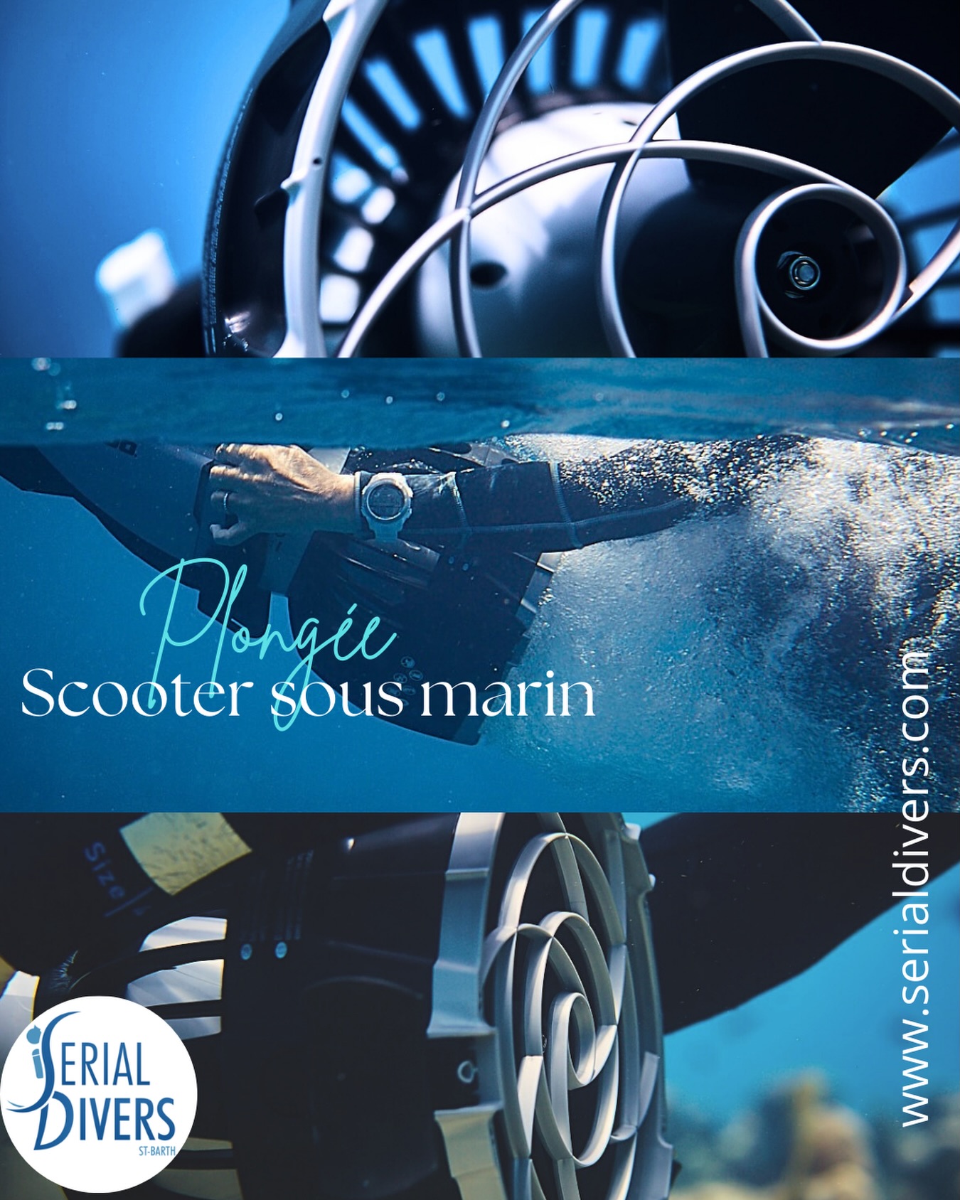 Un petit quelque chose en plus dans votre expérience de la plongée. Venez explorez les fonds marins sans efforts avec Serial Divers!