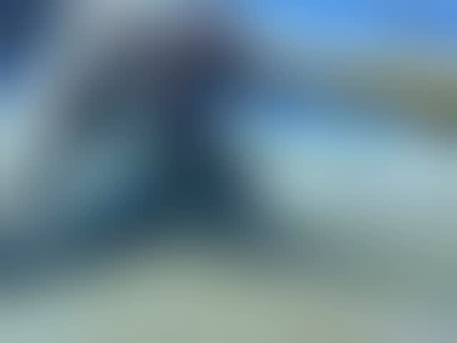 At serial we are turles lovers!!!! #seaturtles