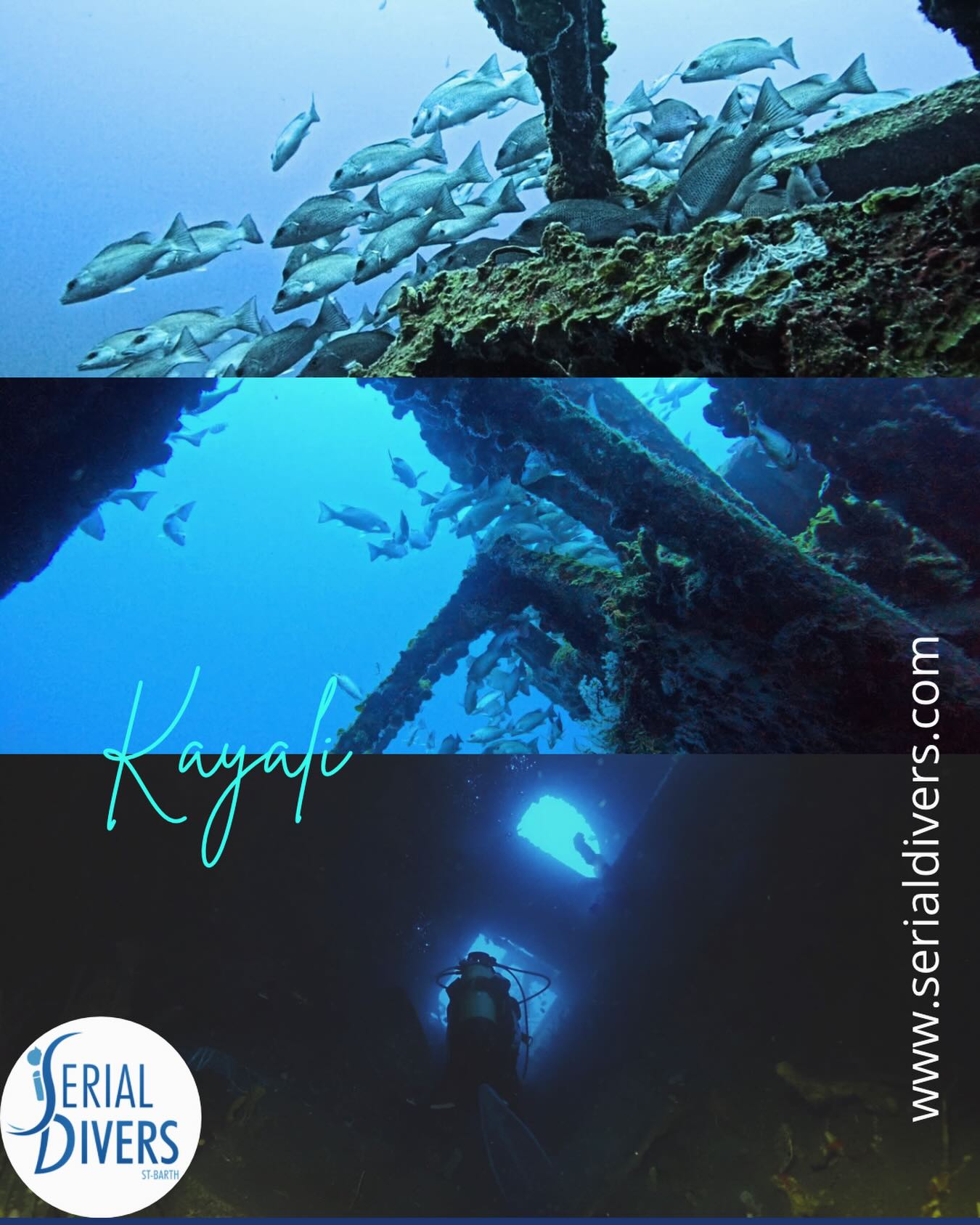 Le Kayali, épave de chalutier coulée en 1994 à 30 mètres de fond pour le plaisir des plongeurs et apnéistes. Serial Divers vous fait visiter cette merveilles (sous réserve d’avoir un niveau de plongée adapté). #wrecklovers #sbh #underwaterworld