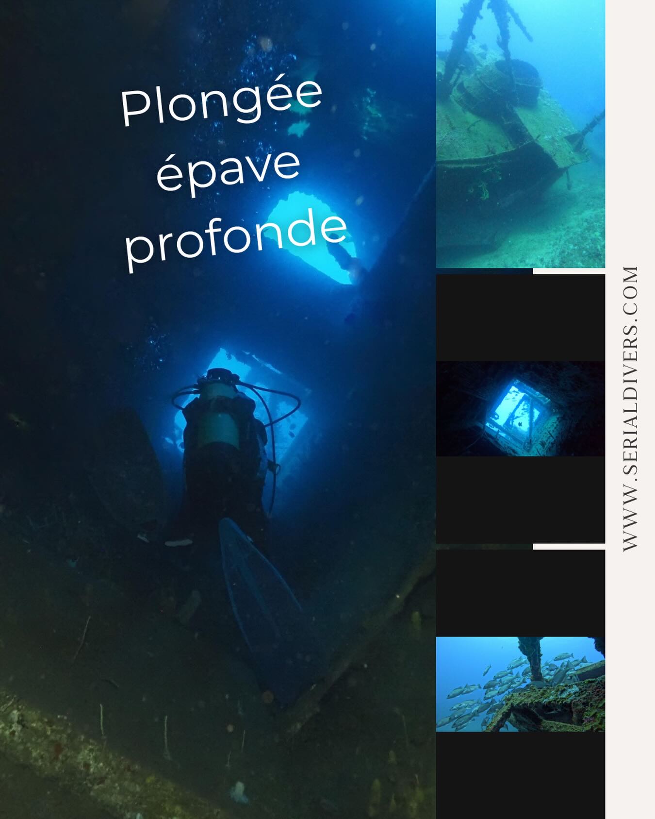 Venez découvrir les épaves autour de St Barth dont le Kayali, un chalutier posé à 30 mètres de fond.